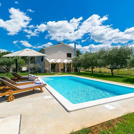 Pool Premium Apartment Vrsar Eksteriør billede