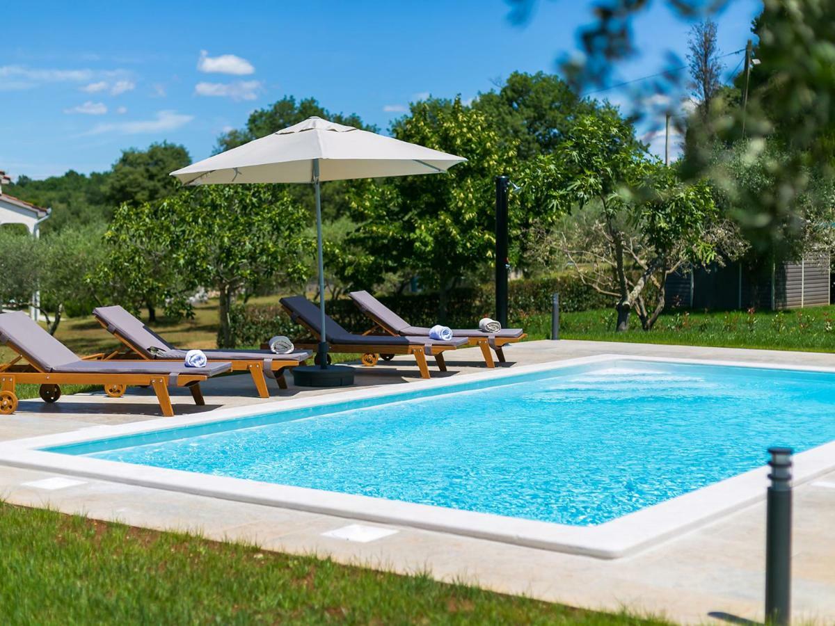 Pool Premium Apartment Vrsar Eksteriør billede